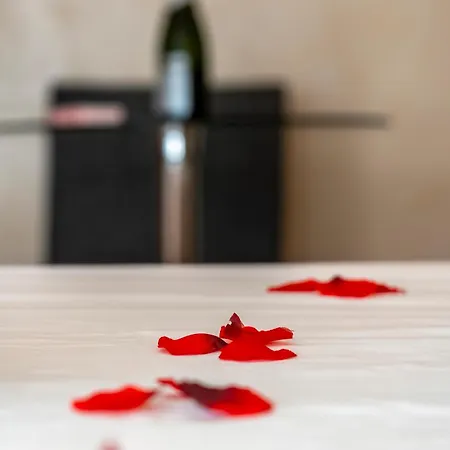 酒店 Rvhotels De Tossa (adults Only)