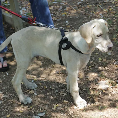 Rvhotels De Tossa (adults Only) 4*