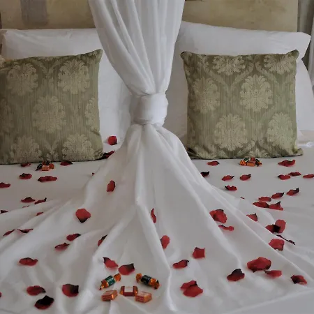酒店 Rvhotels De Tossa (adults Only) 滨海托萨