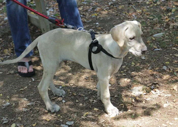 Rvhotels De Tossa (adults Only) 4*